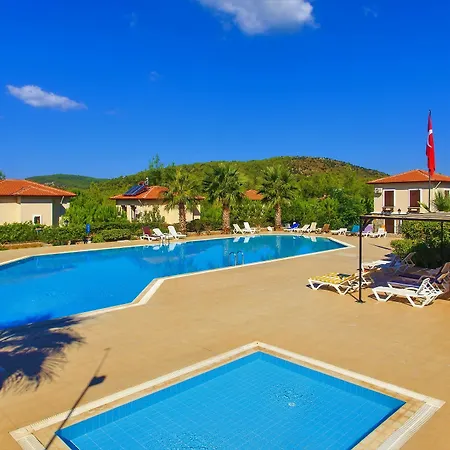 The Village 24 *